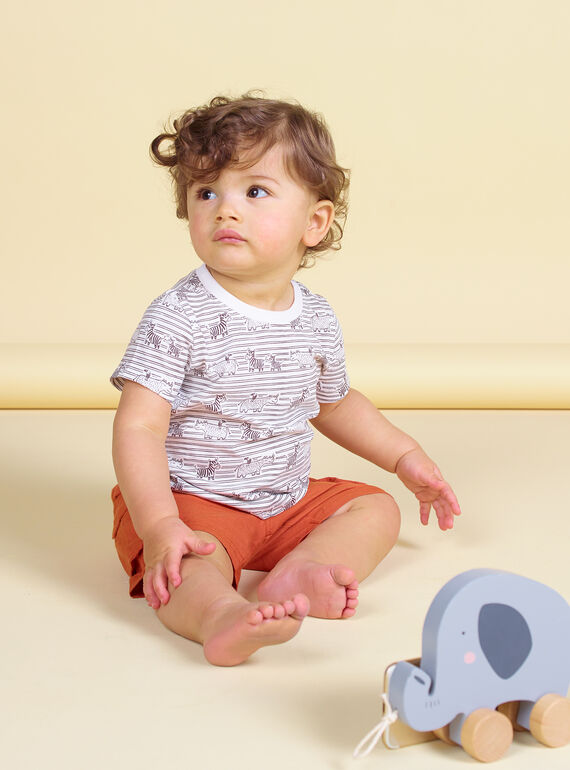 Baby Boy T-Shirt mit braunen Streifen LUTERTI3 / 21SG10V3TMC001