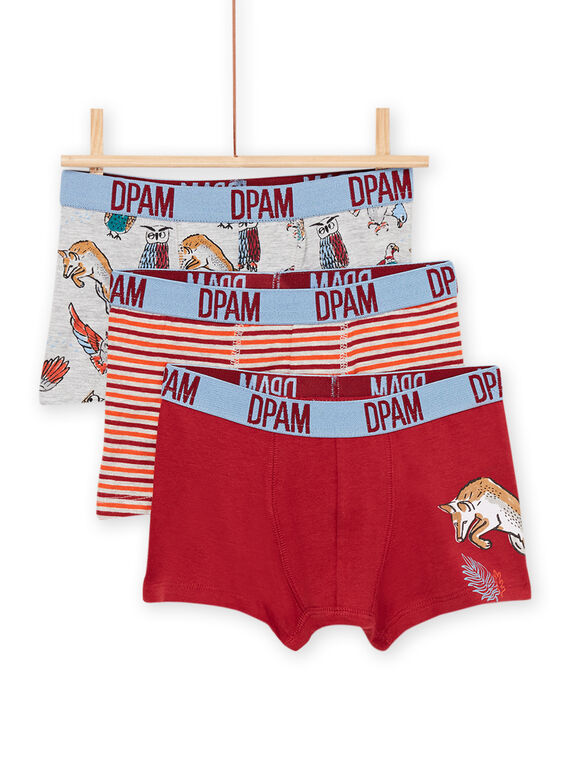 3er-Pack Boxershorts, sortiert PEGOBOXANI / 22WH1244BOX719
