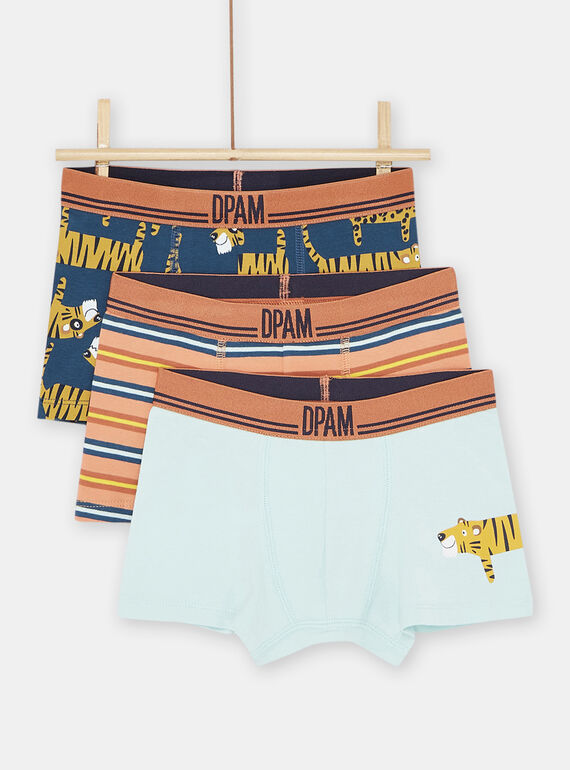 3er-Set Unterhosen in Apricot für Jungen SEGOBOXTIG / 23WH1265BOX406