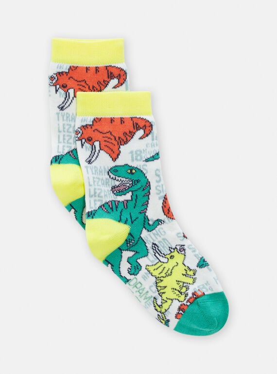 Mehrfarbige Socken mit Dinosaurier-Print für Jungen TYOJOCHO6 / 24SI0281SOQ001