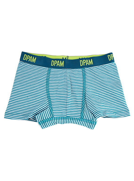 Grüne Boxershorts JEGOBOXCRO / 20SH1232BOX608