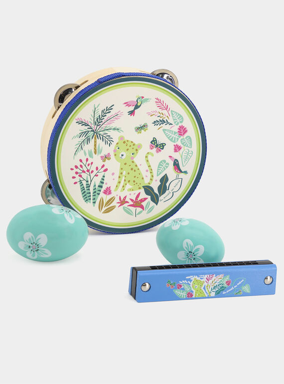 Musical set (Harmonica Shake eggs Tambourine) DPAWO0001 / 21R8GM61MSC099