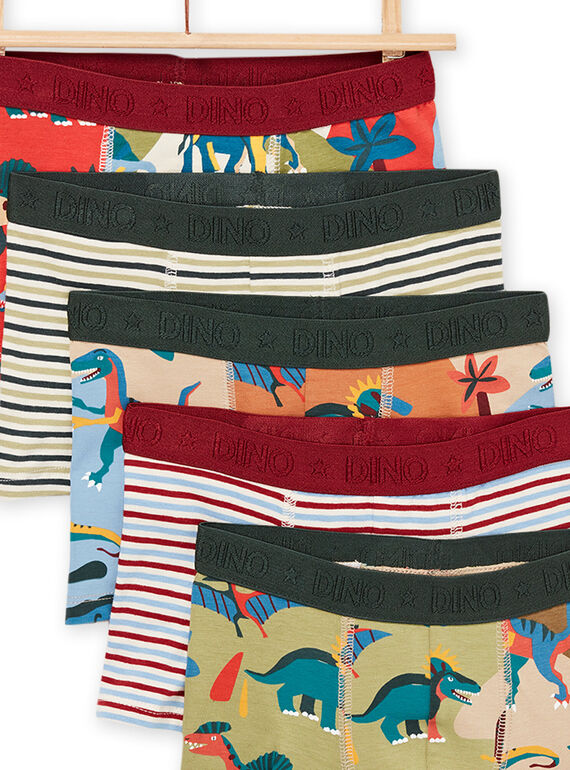 5er-Pack Boxershorts mit Dinosaurier- und Streifenmuster PEGOBOXSEM1 / 22WH1242BOXA016