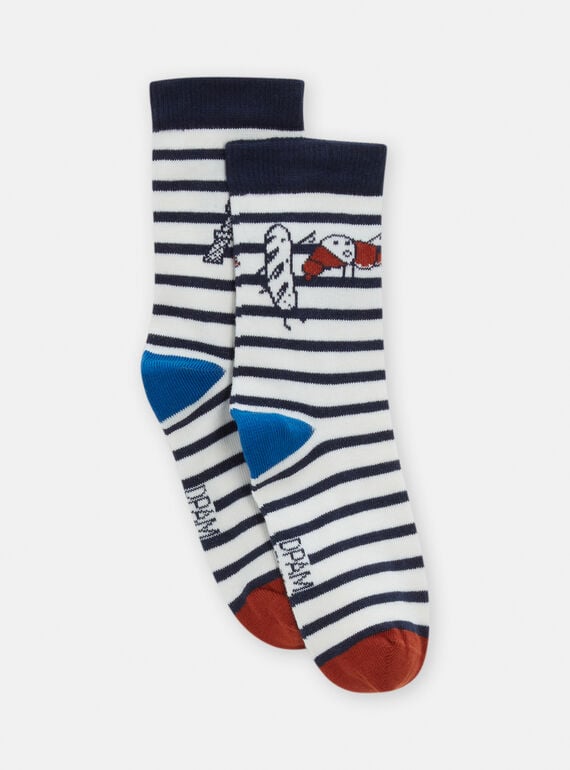 Blau-weiße Socken mit Streifendruck für Jungen TYOPACHO / 24SI0221SOQ001